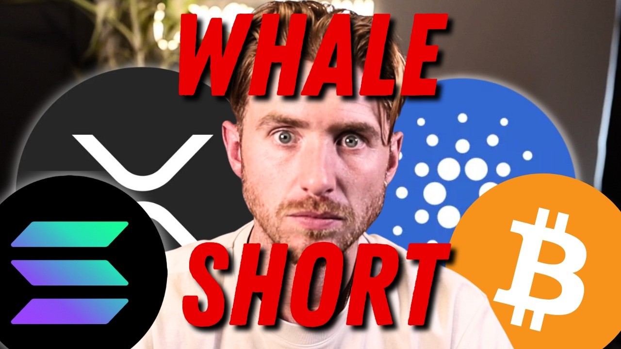 🚨 BITCOIN IN DANGER? Whale Sets 0M Short Target at K! 😱