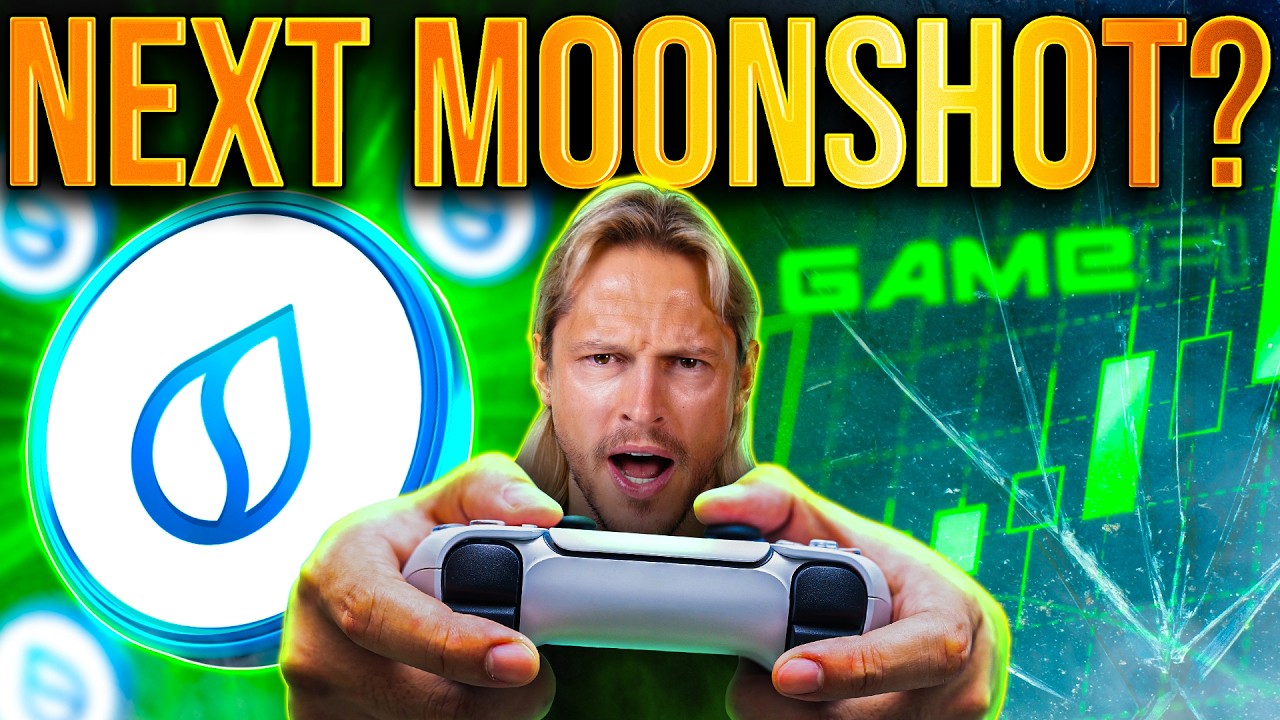  SUI Incoming?! Shocking Partnerships Revealed!